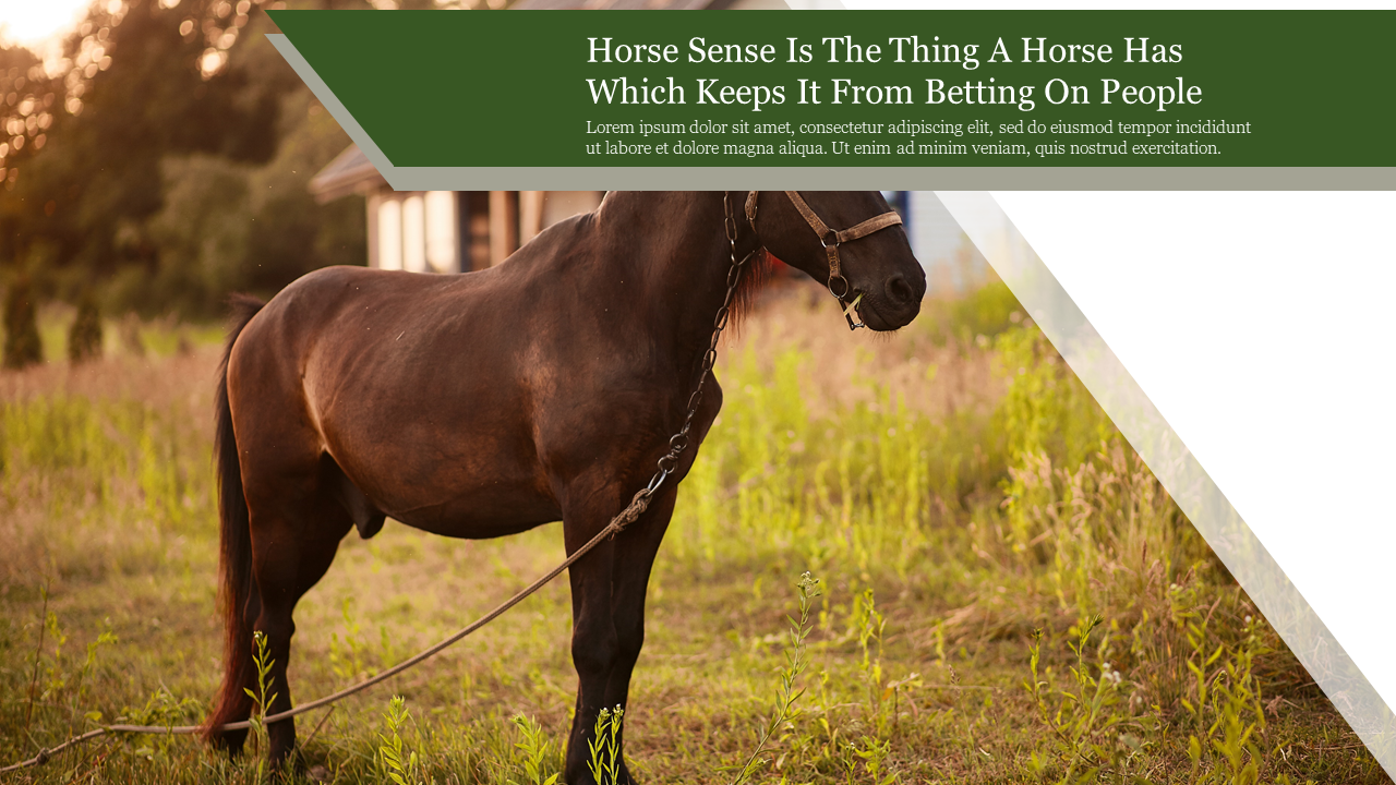 PowerPoint slide featuring a horse in a natural setting with a humorous quote about horse sense with placeholder text.