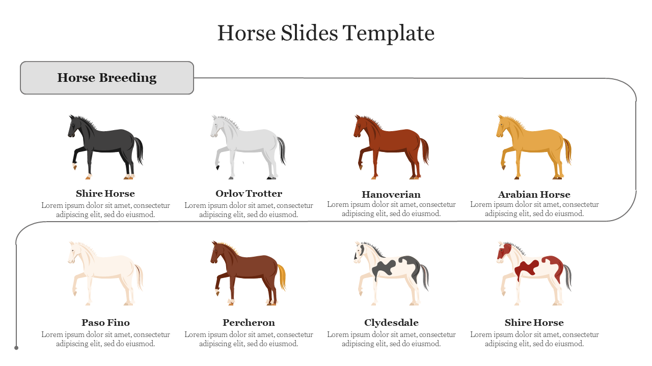 A slide displaying eight different horse breeds with images,  by a caption area for each placed in a white background.