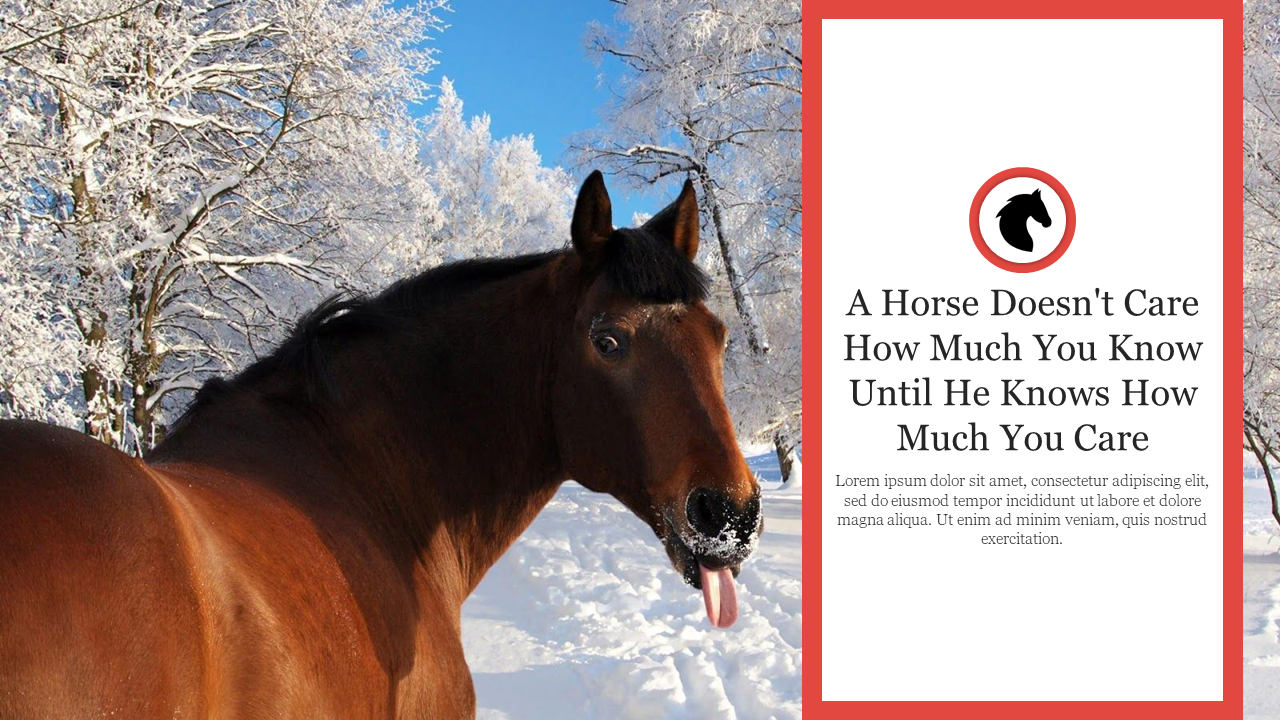 Slide featuring a funny horse sticking out its tongue in a snowy forest, accompanied by a motivational quote about care.