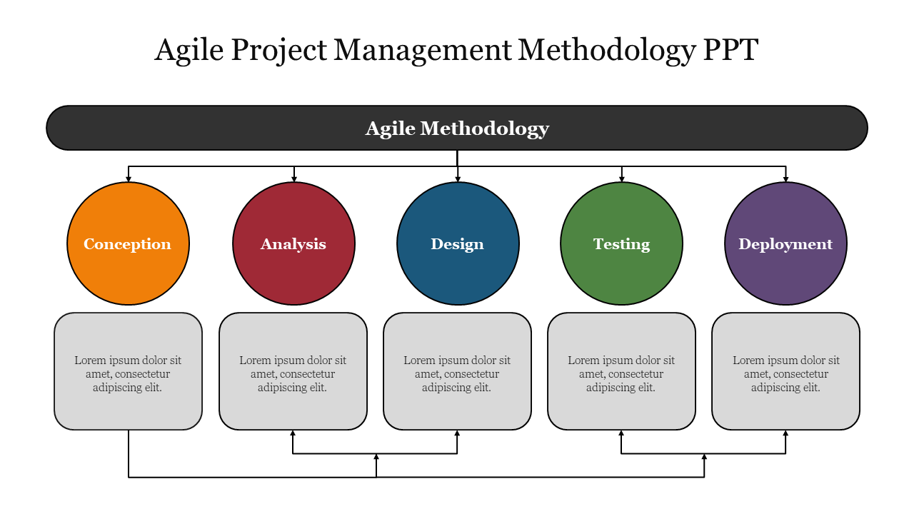 Flowchart depicting the Agile project management methodology with five stages and placeholder text.