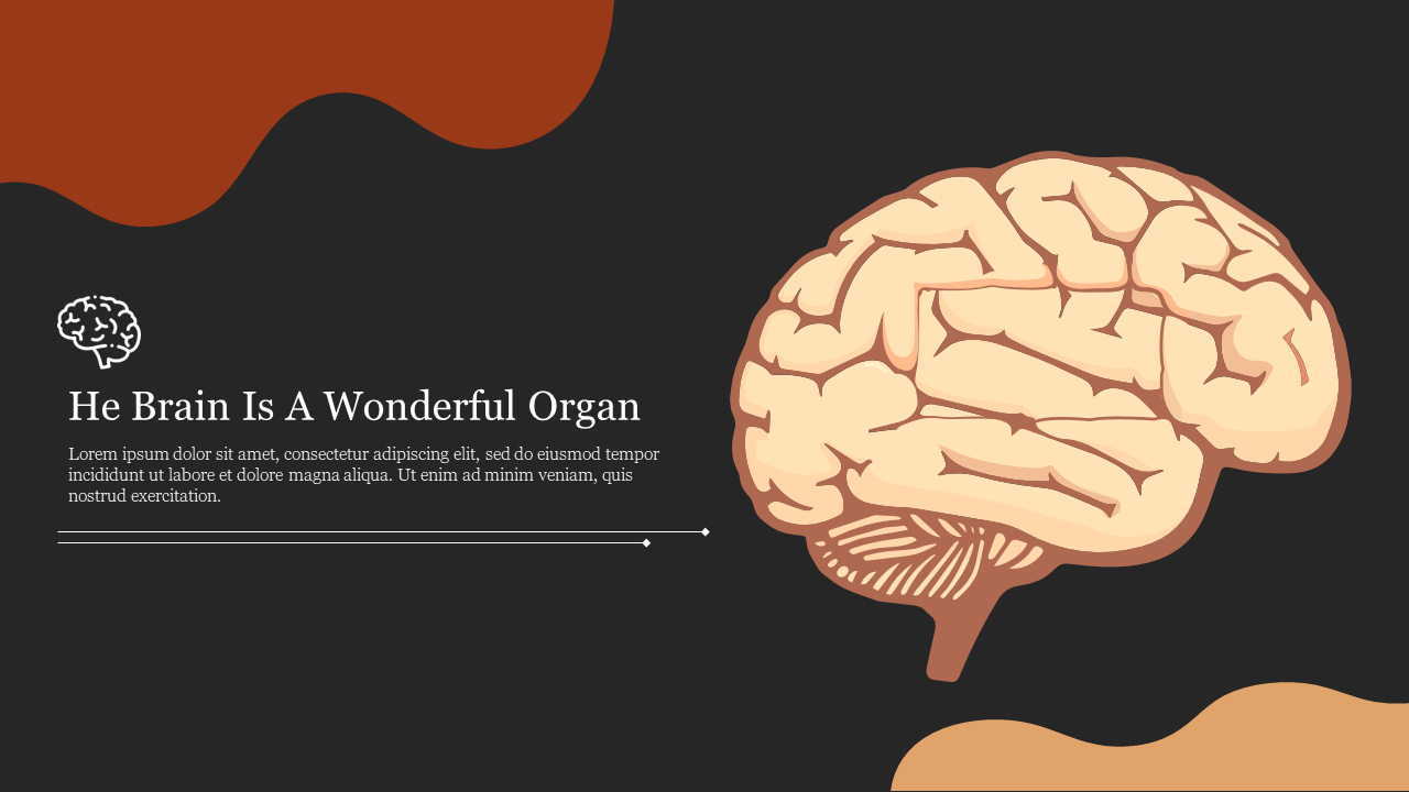 Illustration of a brain in beige with text on the left over a black background with brown accents.