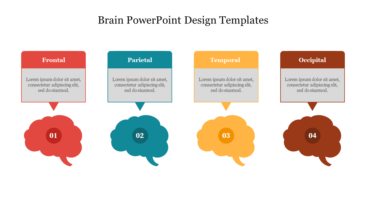 Infographic showing four brain anatomy diagrams in red, blue, yellow, and brown, paired with text box above.