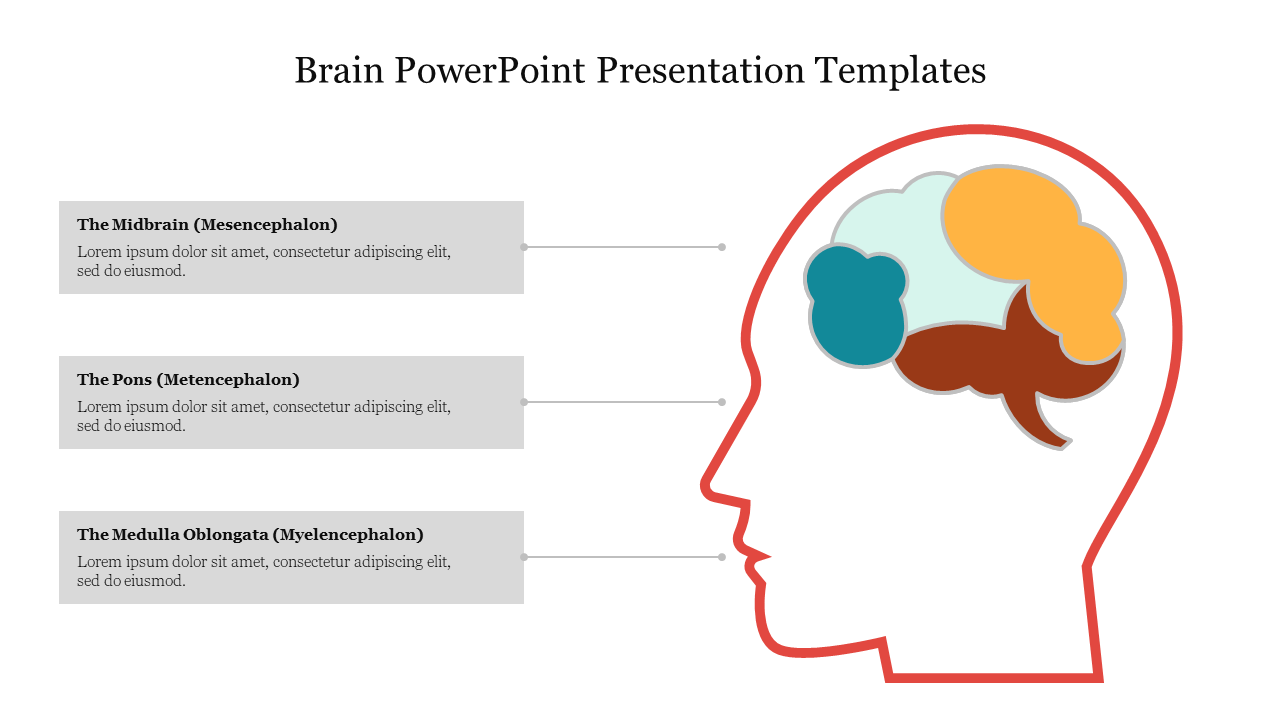 Red outline of head with colorful brain sections connected to three labeled gray boxes.