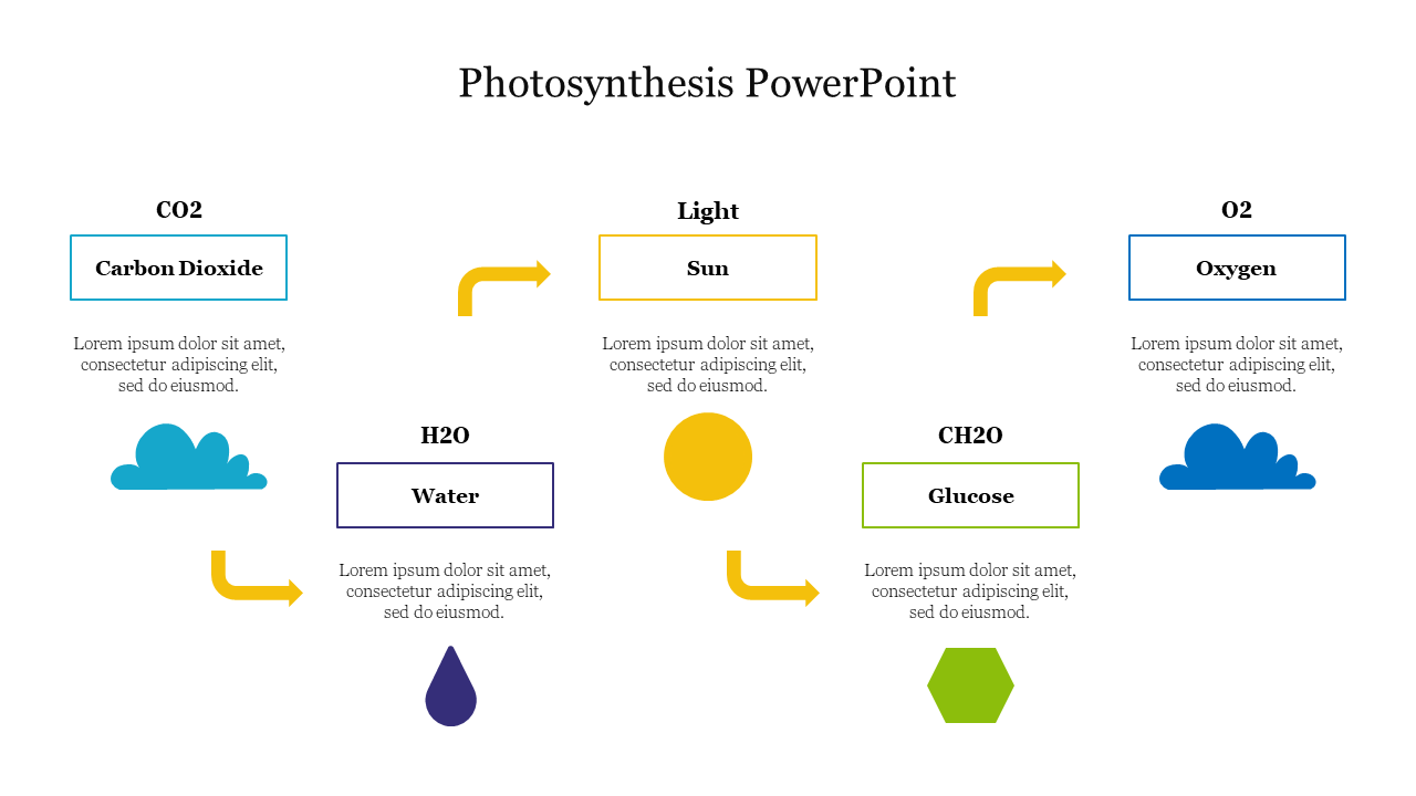 Photosynthesis process diagram with labeled boxes for carbon dioxide to oxygen, showing arrows for flow direction.