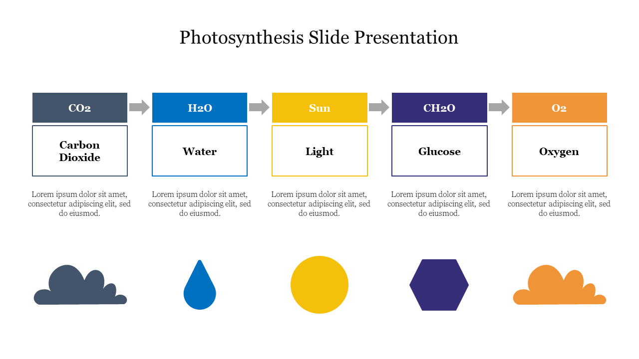 Photosynthesis slide featuring a step-by-step layout with colored boxes, each represented by icons below.