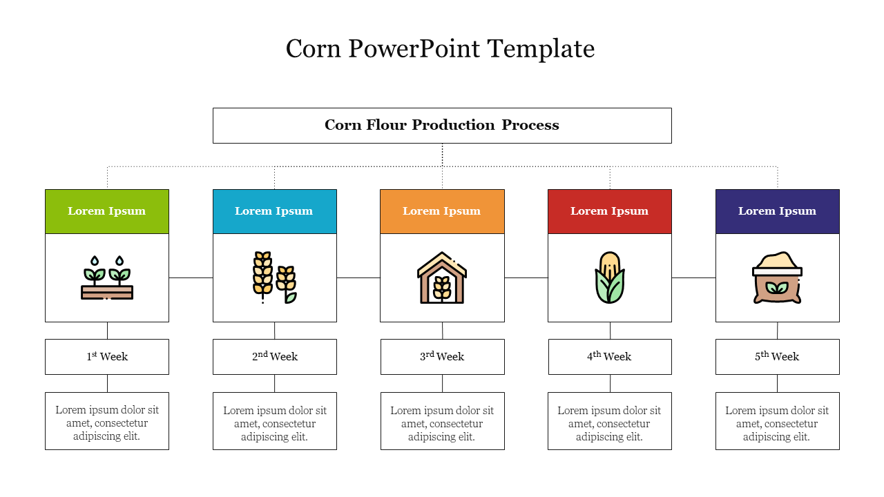 Corn flour production process diagram with five stages with each stage has an icon and placeholder text.