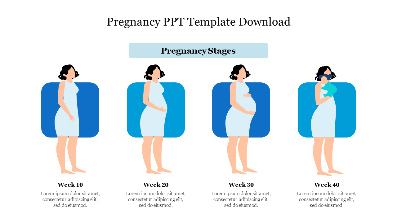 Pregnancy stages slide shows the progression from Week 10 to 40, including images of a pregnant woman at each stage.