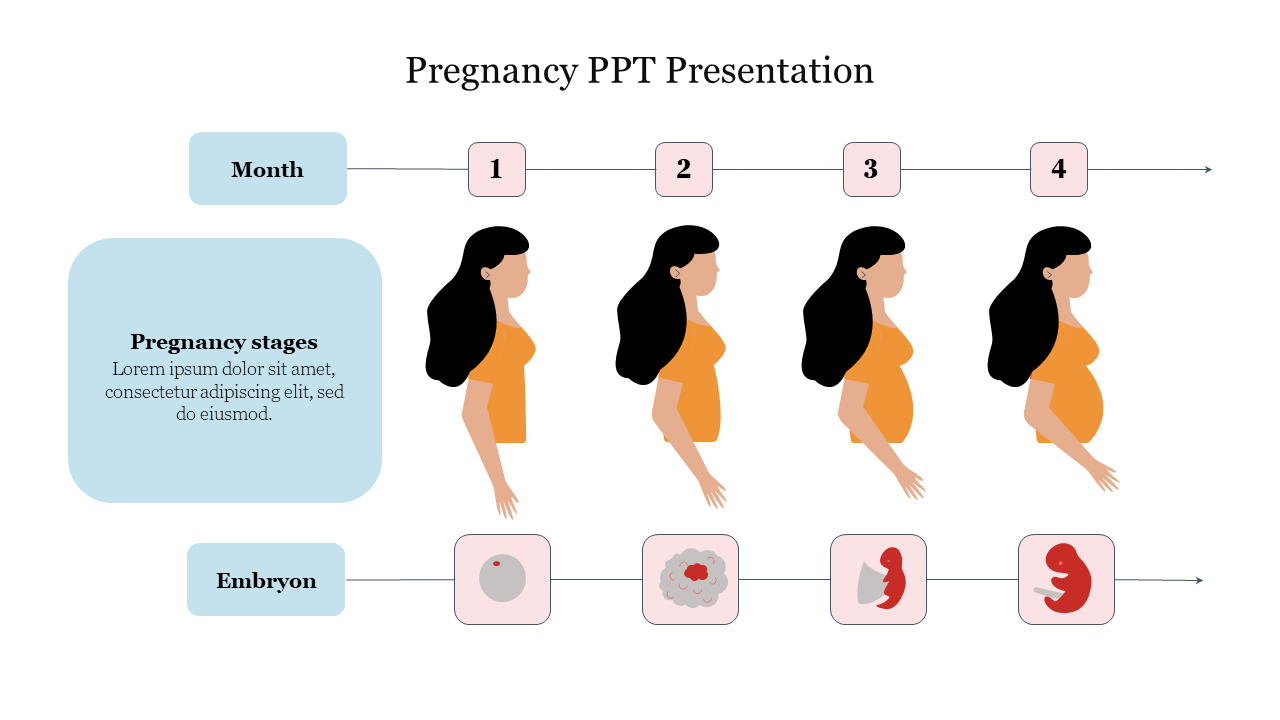 Pregnancy stages illustration with four side profiles of a woman and corresponding embryo development icons.