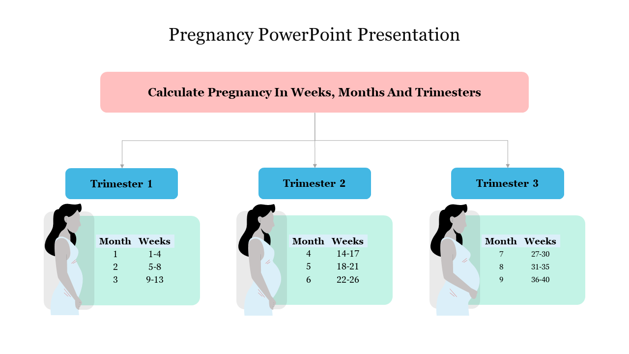 Pregnancy timeline infographic showing trimesters, featuring images of pregnant women and details on weeks and months.