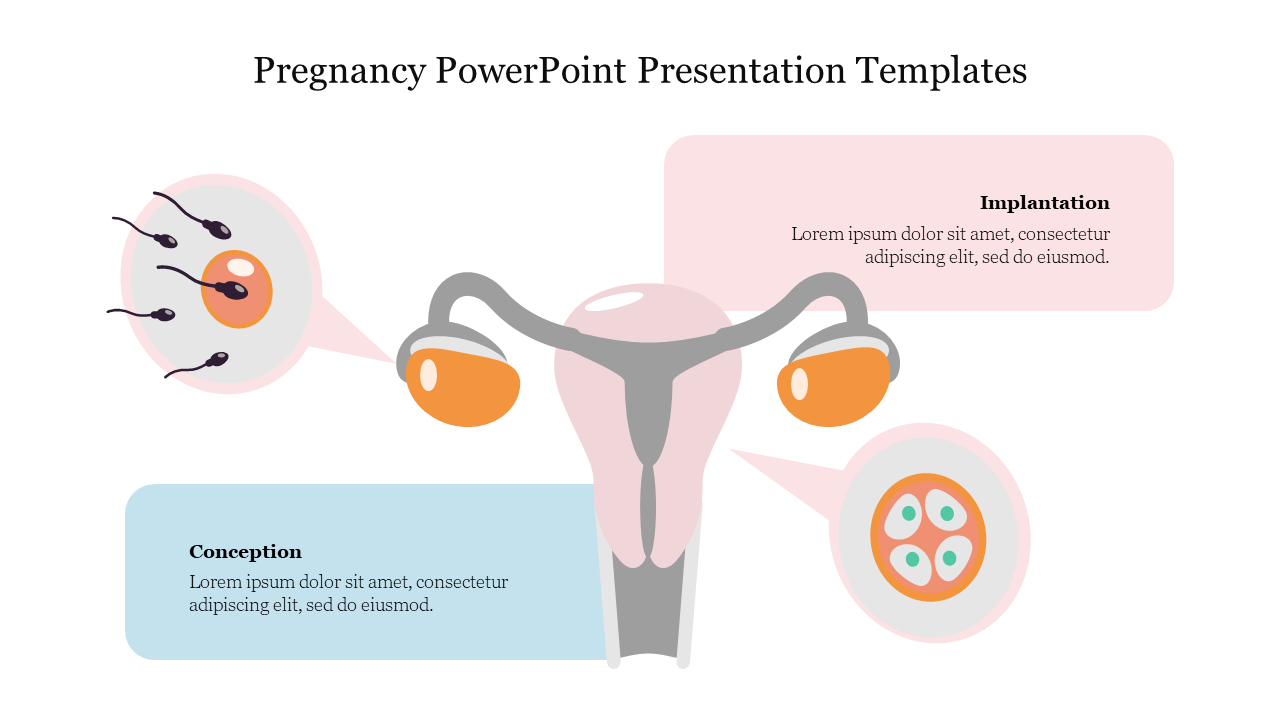 Best Pregnancy PowerPoint Presentation Templates Slide