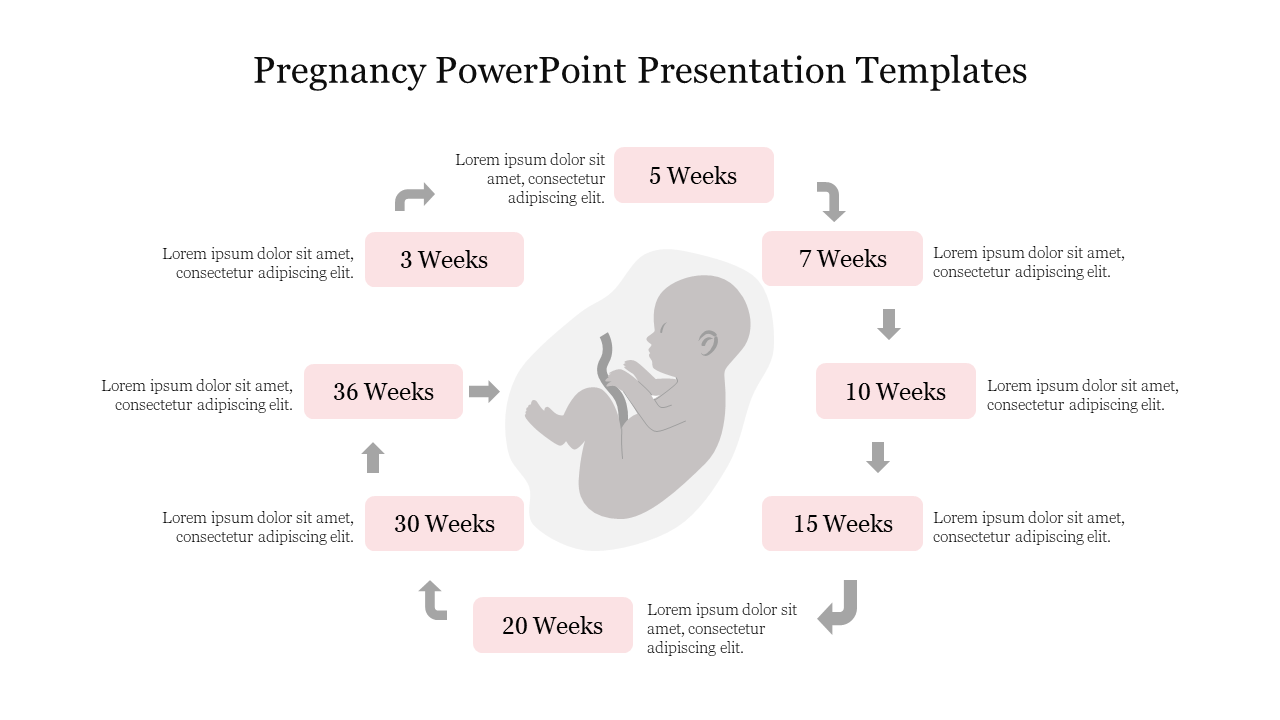 Fetus illustration in the center, with a circular flow of pink boxes showing weeks of pregnancy from 3 to 36.