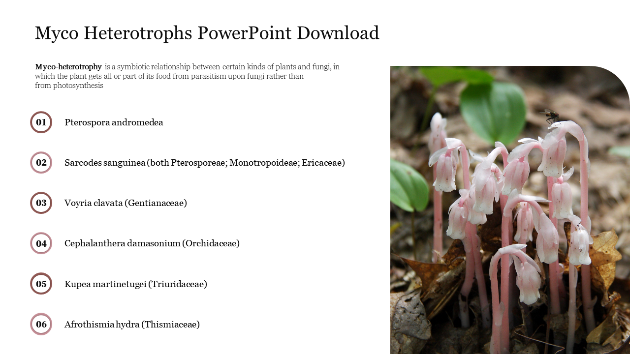 Slide featuring a list of six myco heterotrophic plants on the left and a photo of pinkish white fungi on the right.