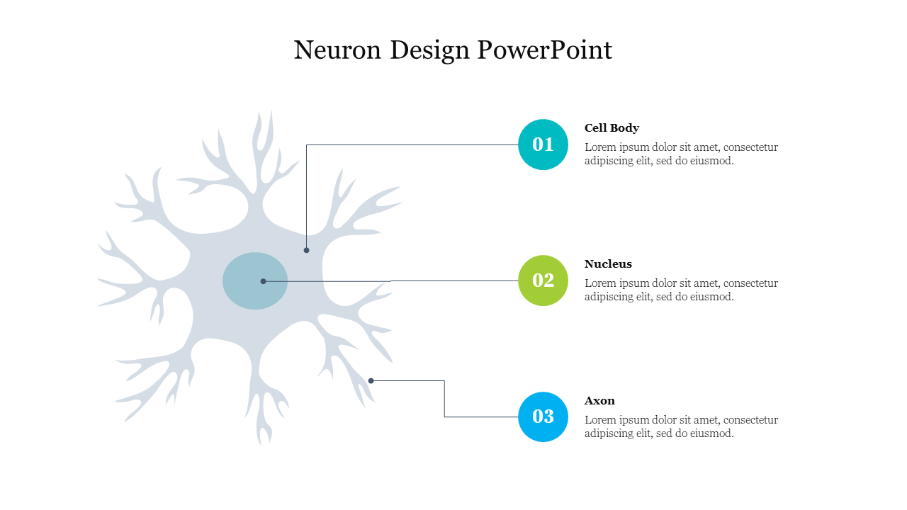 Light gray neuron structure with branching arms, a blue nucleus, and three numbered circular nodes.