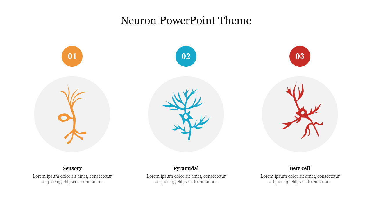 Three neuron illustrations in orange, blue, and red, each within a circle, with numbers at the top and captions below.