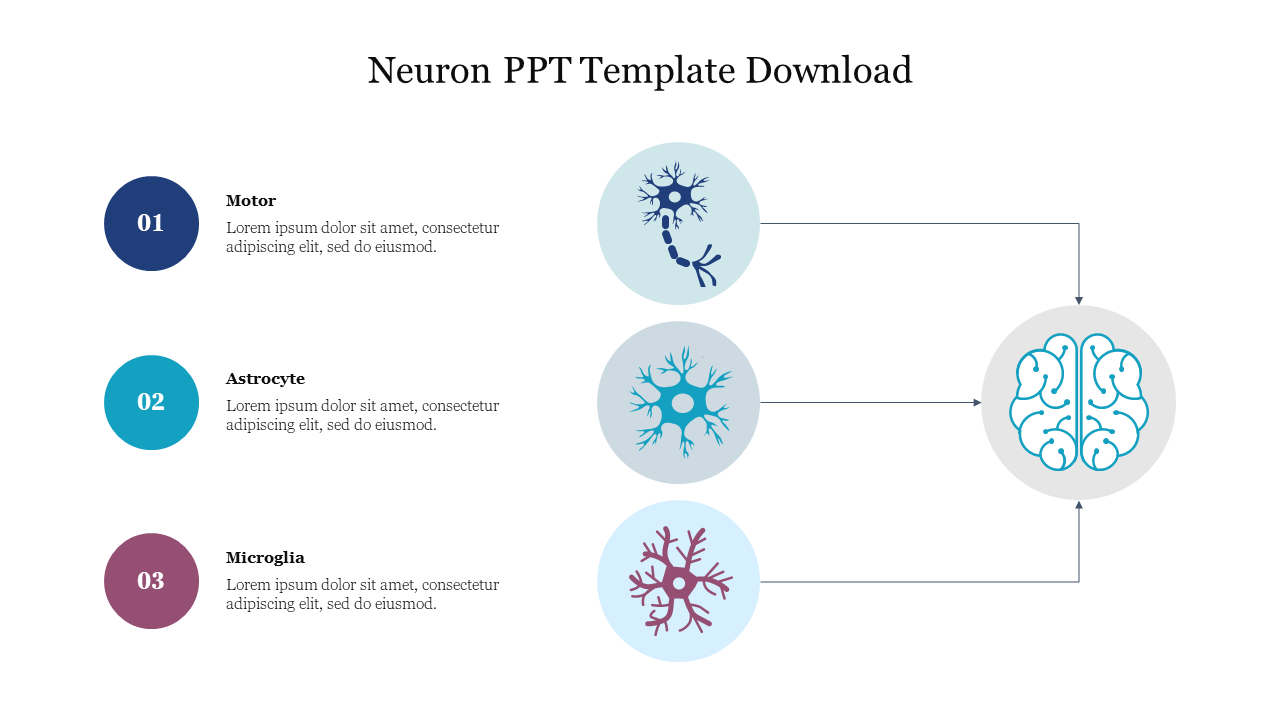 Illustrative Neuron slide featuring motor neurons, astrocytes, and microglia with a brain graphic.