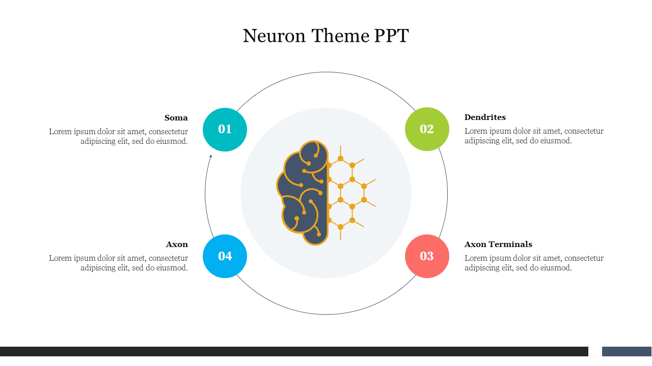 Circular layout with a central neuron graphic, surrounded by four numbered nodes in teal, green, red, and blue.