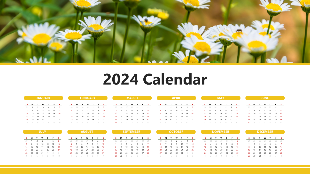 2024 calendar template with each month displayed in a grid, highlighted by yellow accents and a floral background of daisies.