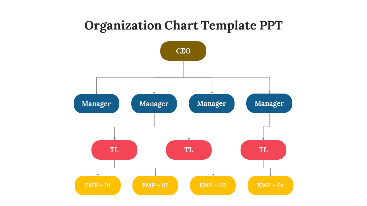 Organization chart template with top-down structure, featuring employees roles in colored boxes.