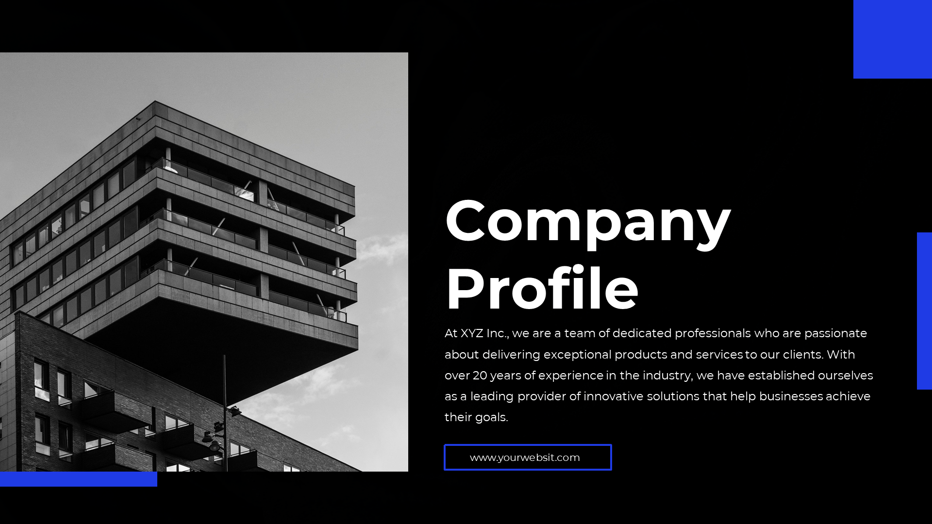 Corporate slide deck with monochrome visuals and blue highlights, covering company mission, services, and outlook.