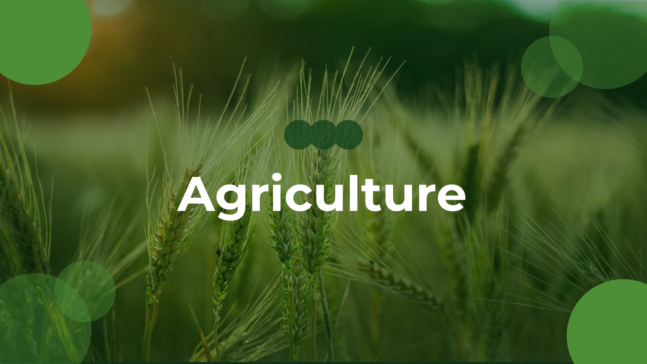 Agriculture Google Slides Template and PowerPoint