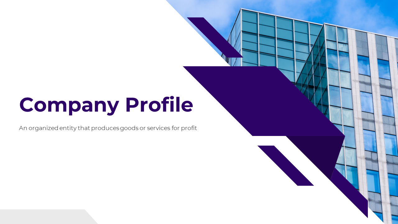 Modern company profile presentation with purple geometric design and structured content slides with images.