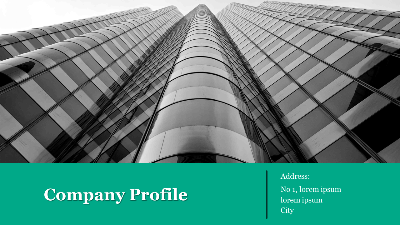 A PPT slides showing a professional company profile with sections for company overview, team, services, and financial data.