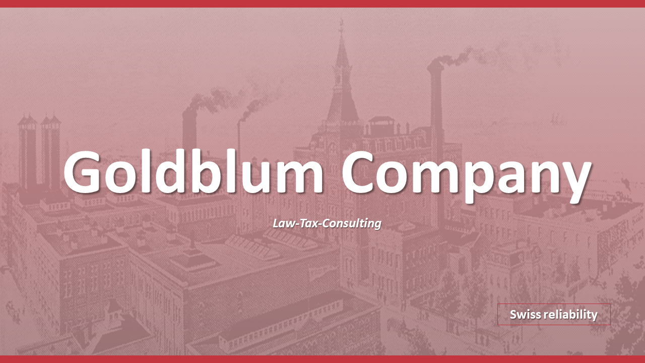 Best Goldblum Company Profile PowerPoint And Google Slides