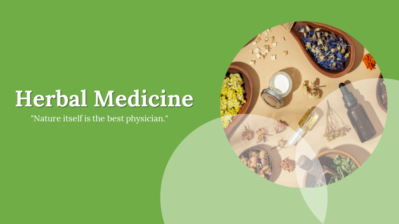 Herbal medicine slide deck showing images of herbs, remedies, and health benefits, with a light green background,