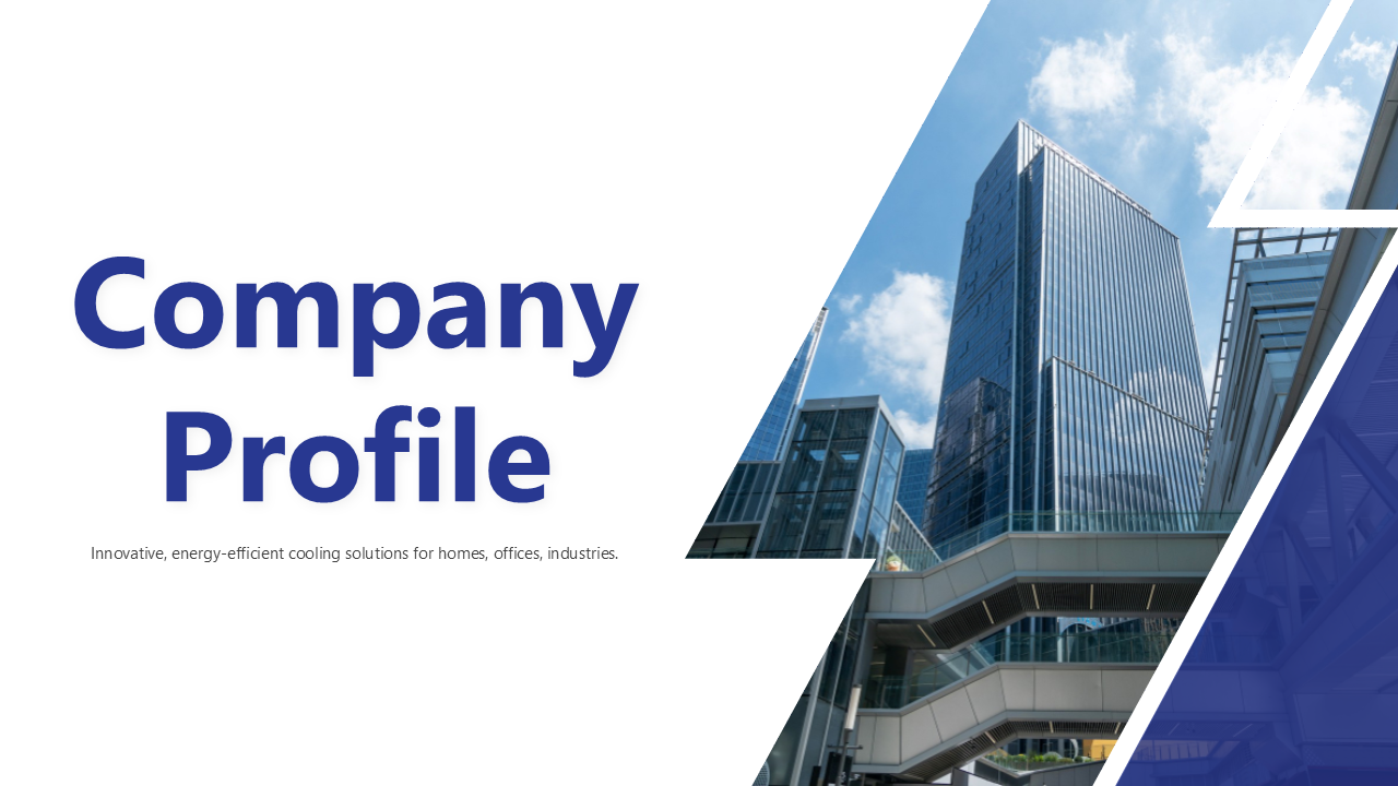 Company profile slide deck with blue and white theme, featuring images of buildings, professionals, and industrial setups.