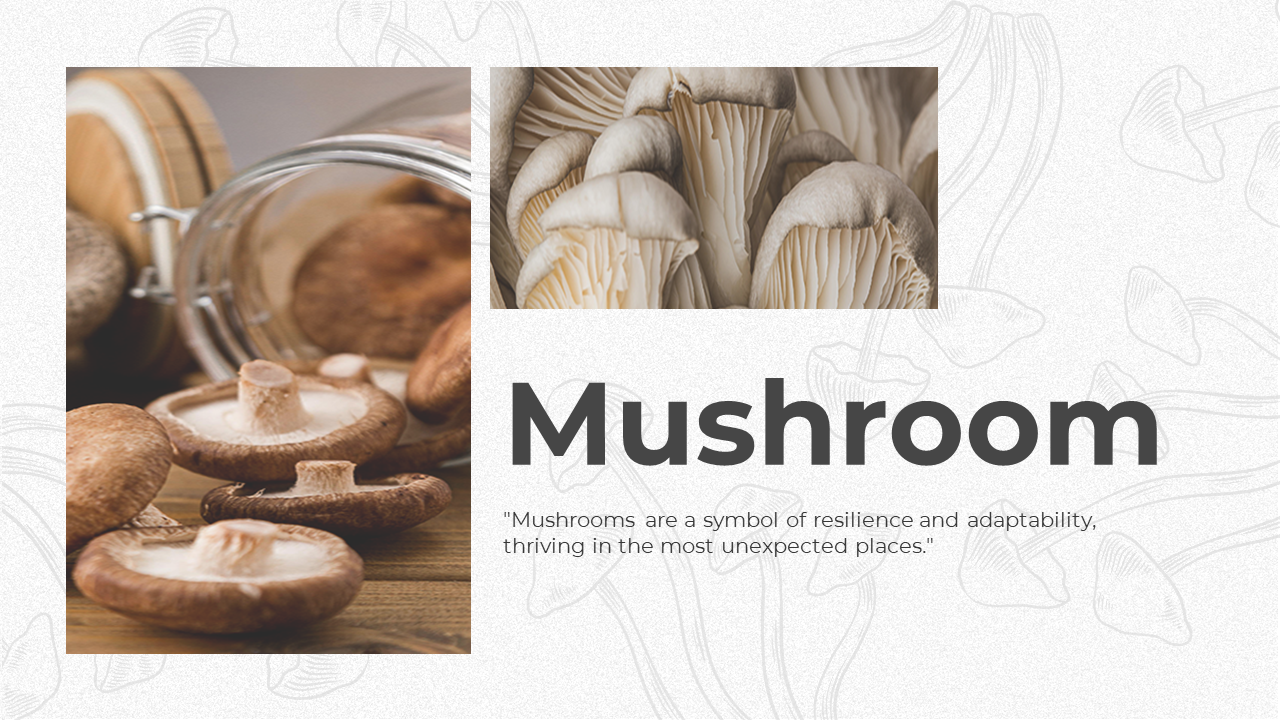 Slide deck on mushrooms, including slides for anatomy, cultivation, and symbolic significance, with mushroom visuals.