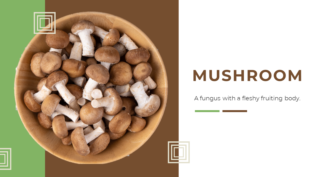 Slide deck with images of mushrooms, and various sections on uses, varieties, and benefits on a earthy brown and green tones.