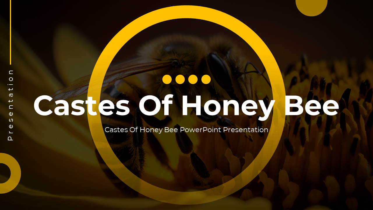 A pack of castes of honey bee slides featuring a honey bee and vibrant yellow accents with text descriptions.