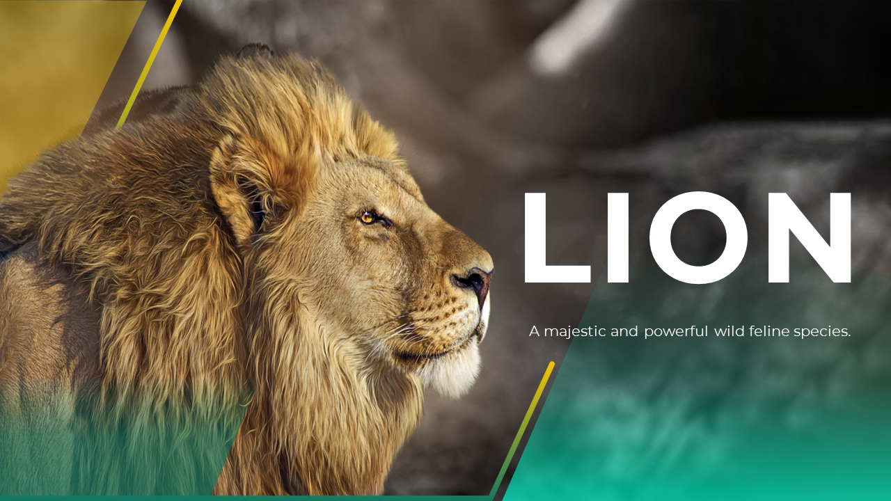 Slide deck featuring a lion image, with content on lion species, anatomy, and conservation, in green and yellow tones.