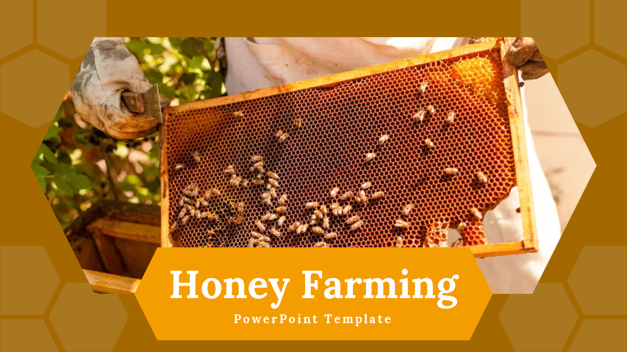 A pack of honey farming slides featuring images of bees and honeycombs, with many sections on a golden brown backdrop.