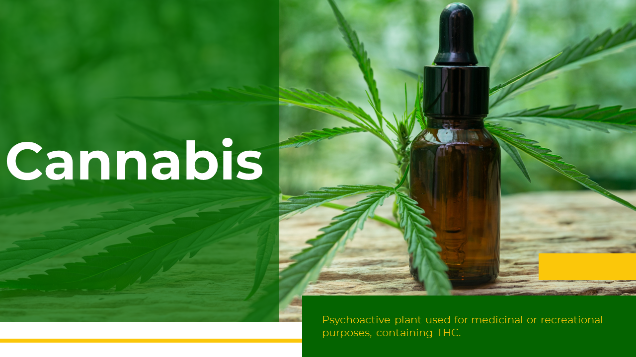 Attractive Cannabis PPT and Google Slides Templates