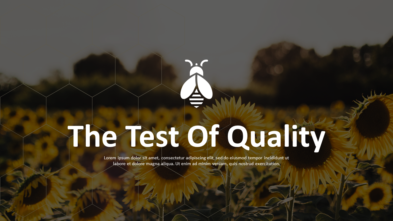 Slide deck featuring a sunflower field with honey farming pattern and a central quality assurance message.