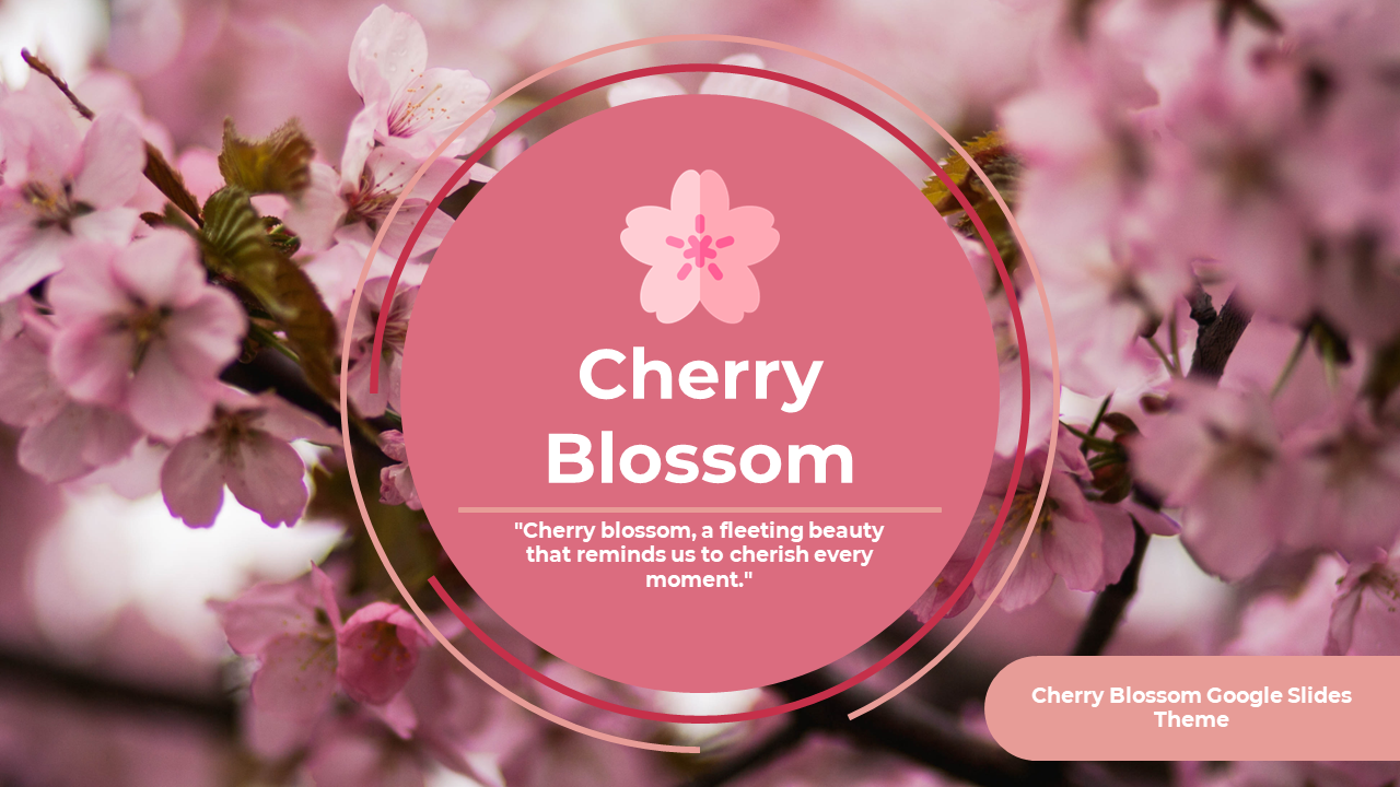 Cherry blossom themed slides featuring intro, design features, functionality, versatility, and conclusion in pink accents.