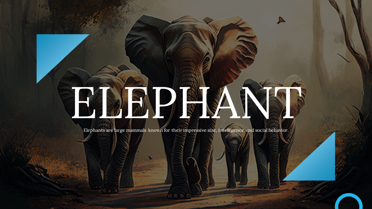 Elephant slide deck showcasing detailed information on species, size, tusks, and diet, with images in blue accents.