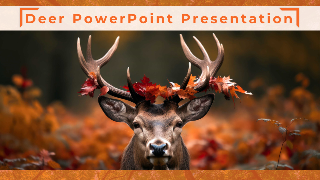 Slide deck featuring images of deer with antlers, with orange accents detailing habitat, species, and behavior.