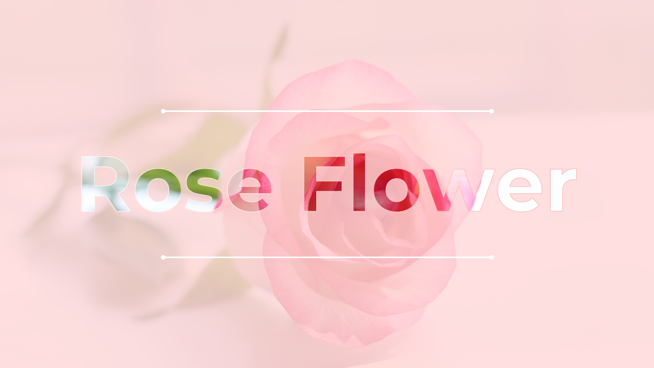 Rose Flower PowerPoint and Google Slides Templates