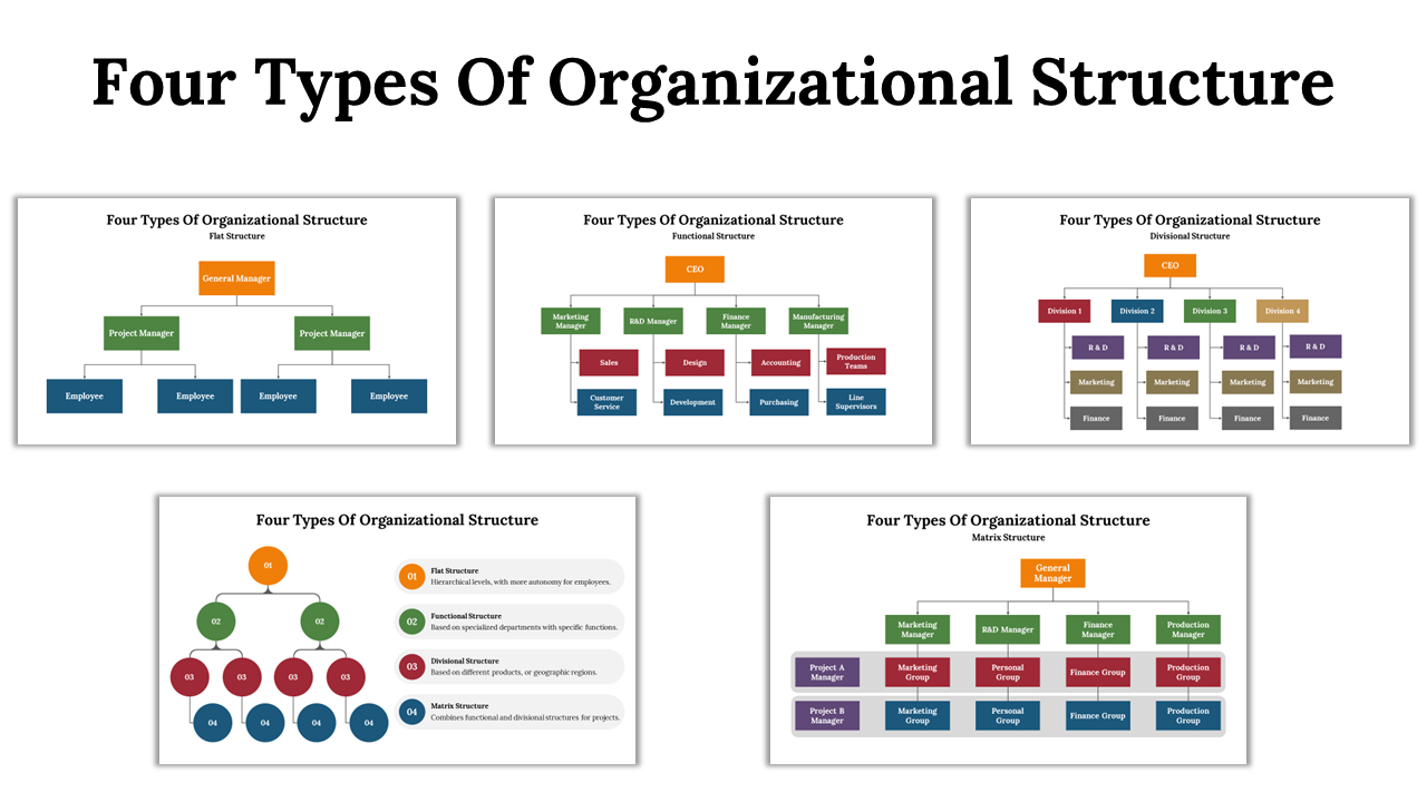 Slide deck in various colours showing four types of organizational structures with various hierarchical diagrams and layouts.