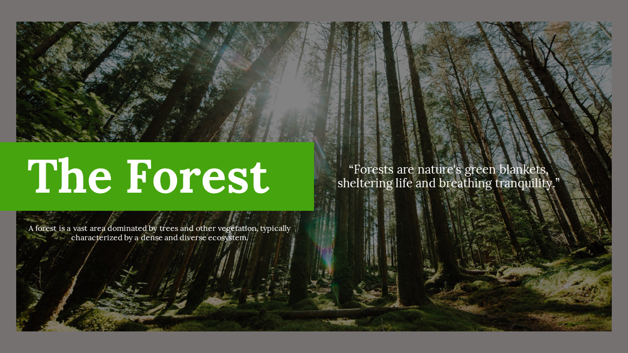 Slide deck showing forest scene with sunlight streaming through trees and discussing environmental topics in green accents.