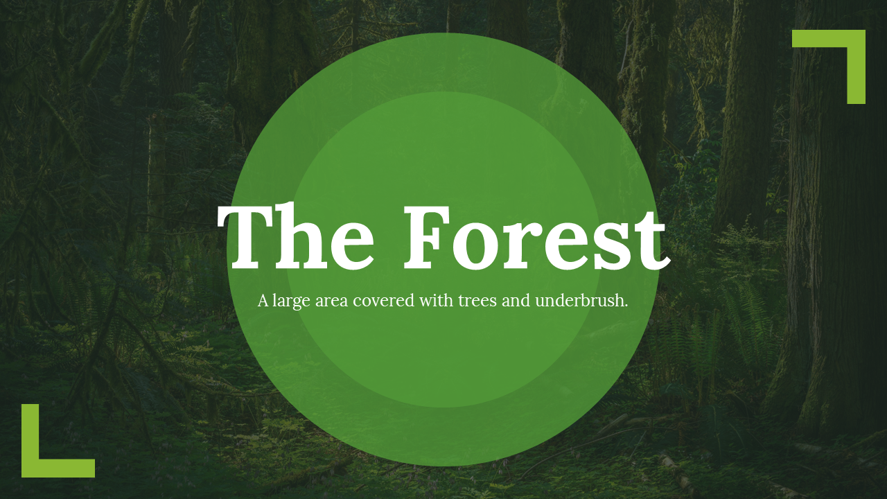 Attractive Forest PowerPoint and Google Slides Templates