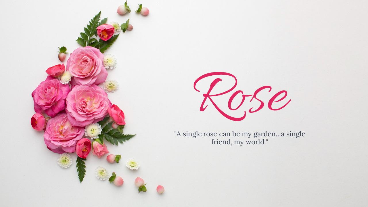 Collection of slides featuring vibrant pink roses arranged on soft pastel backgrounds, with elegant typography.