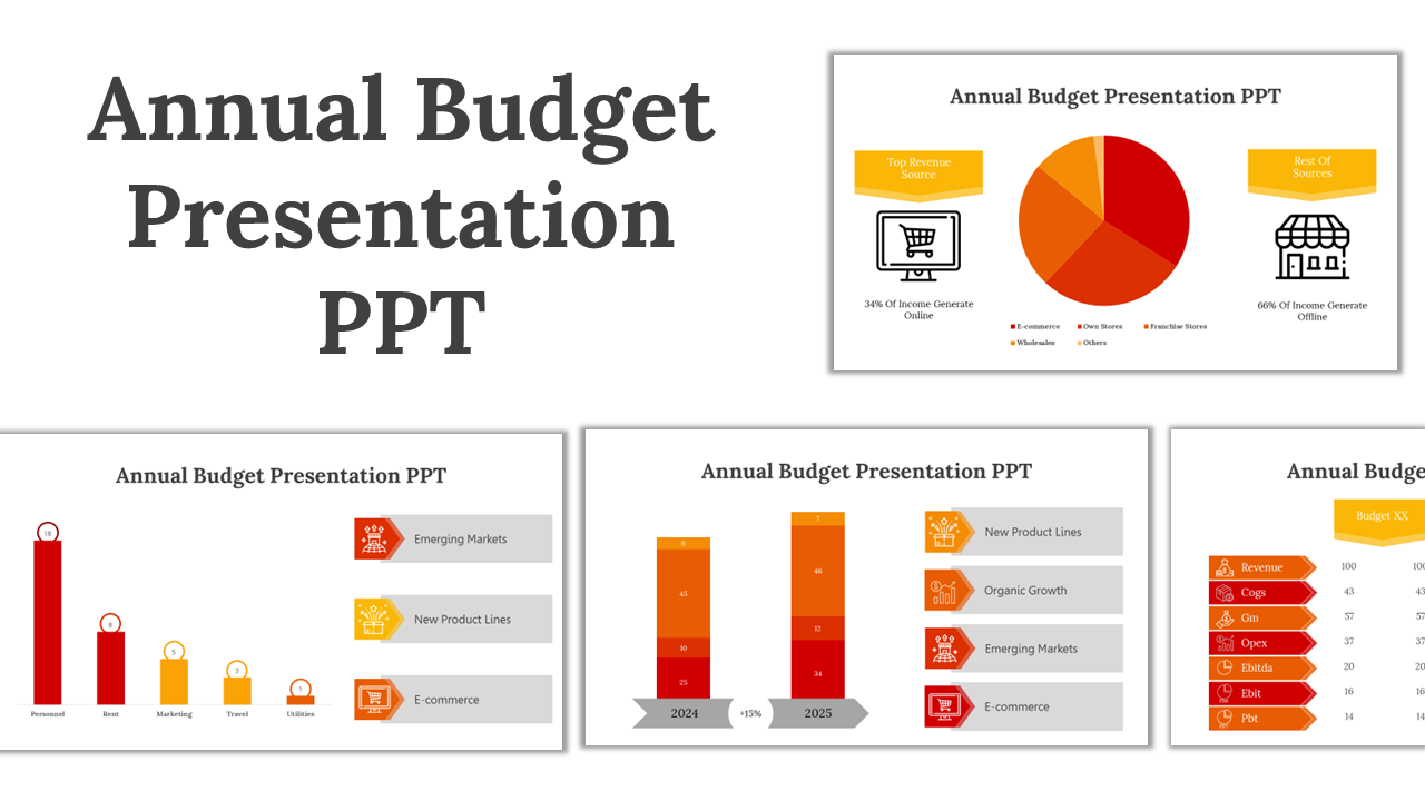 Slide deck of annual budget presentation with various financial charts, graphs, and diagrams showing yearly financial data.