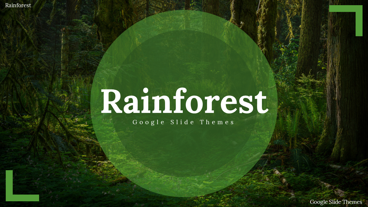 A slide deck with a green circle over a rainforest background, showcasing sections on climate, biodiversity, and vegetation.