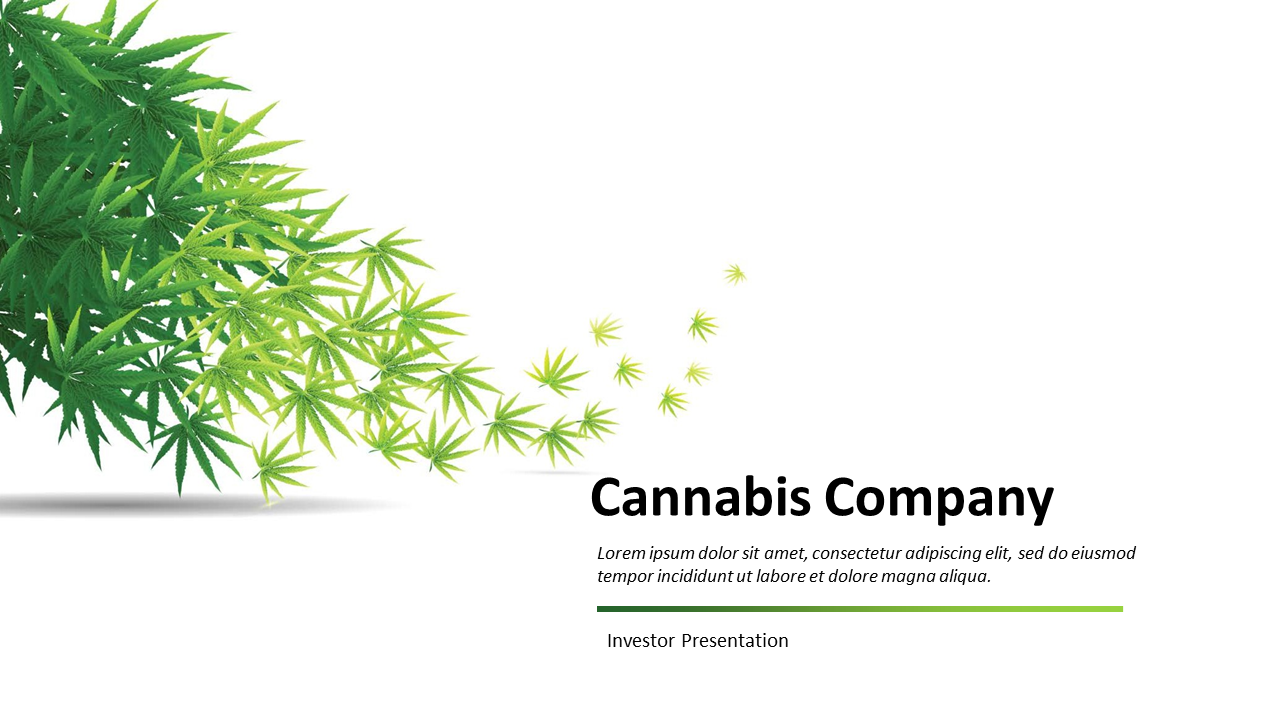 Investor pitch deck for a cannabis company, featuring slides on various related topics with images and text descriptions.