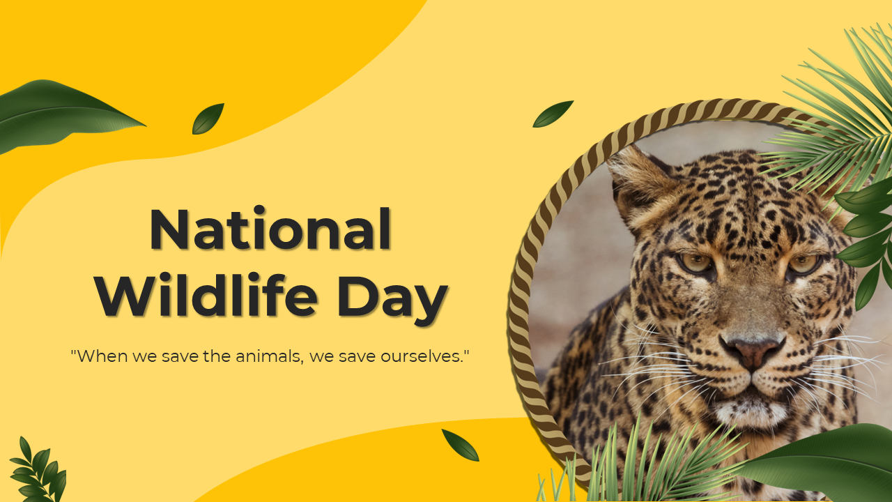 National wildlife day slide deck with a variety of wildlife images and sections on preservation and natural habitats.