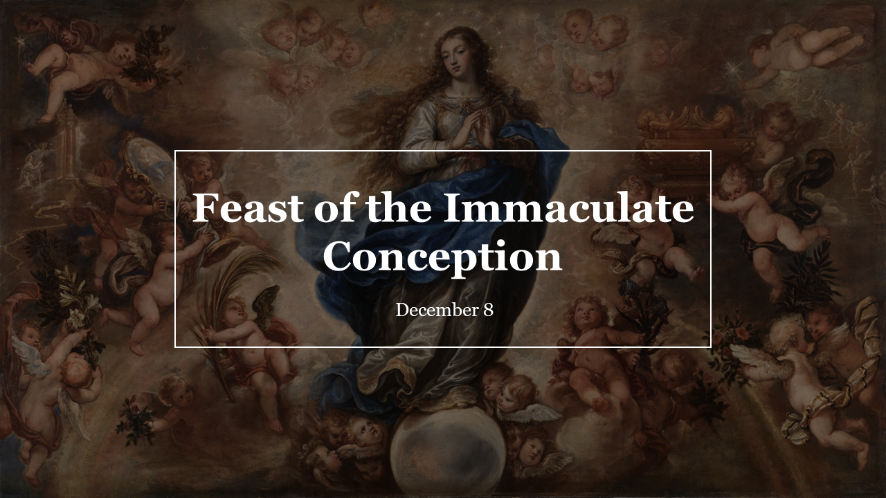 Presentation slides focused on the Feast of the Immaculate Conception, with many sections and images with descriptions.