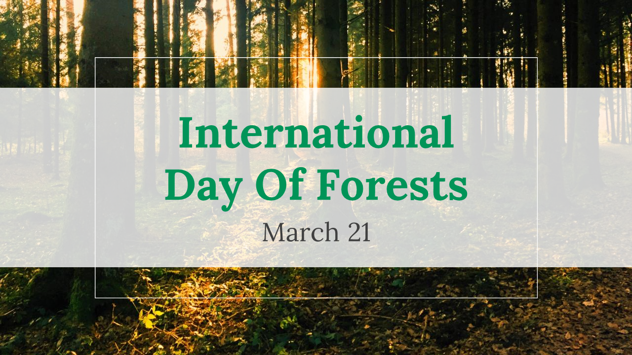 International Day Of Forests PowerPoint And Google Slides